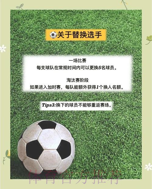 世界杯热点全解析与免费资源指南